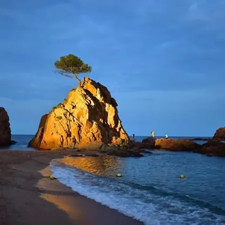 Apartment Tossa. With Pool Tossa de Mar